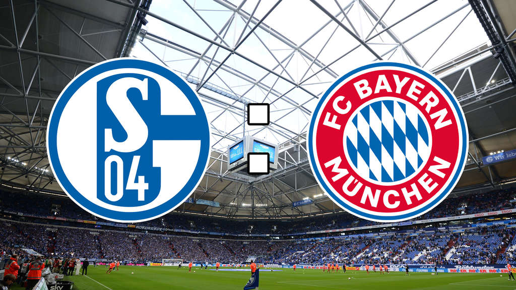 Schiedsrichterkarten Schalke gegen Bayern